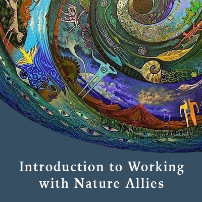 An Introduction to Working with Nature Allies
