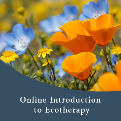 Online Introduction to Ecotherapy